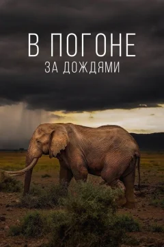 В погоне за дождями